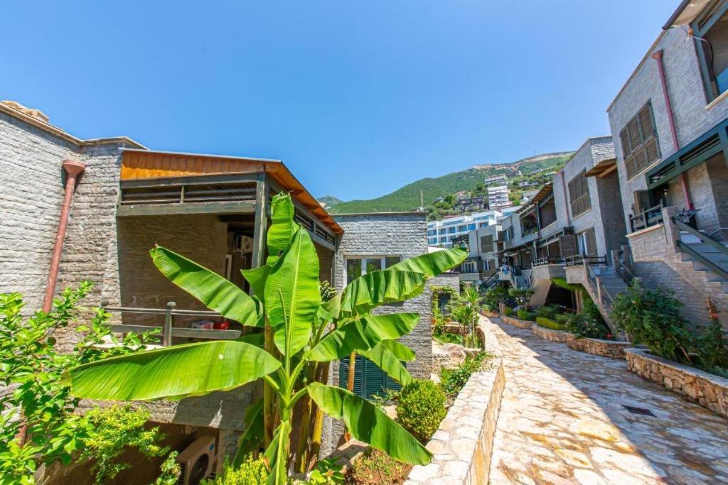 Aquamarine 2, Vlorë